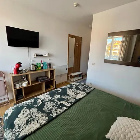 公寓 Smart - Refurbished With Balcony And Parking 班斯科