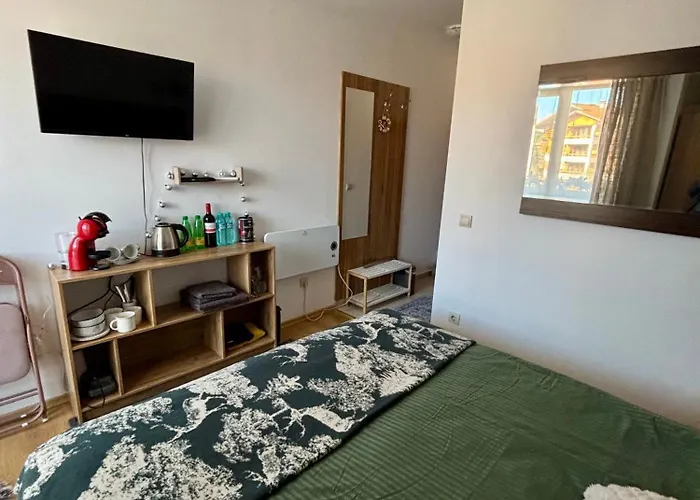 公寓 Smart - Refurbished With Balcony And Parking 班斯科